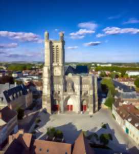 Les visites de la Cathédrale