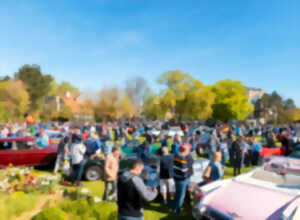 Aux marches du Palais - Rassemblement d'automobiles de collection