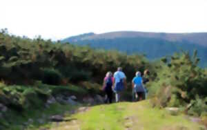 Randonnée : Le sentier des mulets, frontière et contrebande (Sortie en basque)