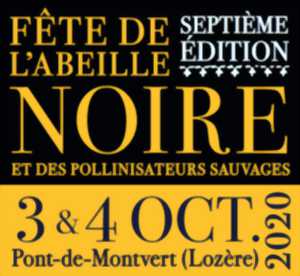 photo FESTI'VALLÉE DE L'ABEILLE NOIRE