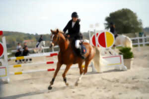 Equitation - Tournée des As Poneys