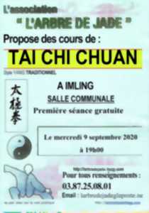 photo Decouverte tai chi chuan