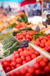 Marché bio du Moulleau