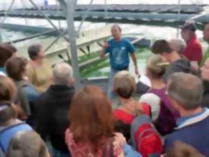Atelier cuisine algues et spiruline
