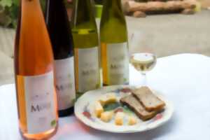 photo Vignobles en scène Alsace - Les 7 Péchés Capiteux des vignerons de Bernardswiller