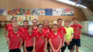 Inscription VSF badminton