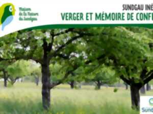 photo Verger et mémoire de conflit à Wittersdorf
