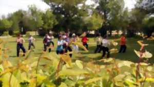 Tai chi chuan et qi gong, cours de découverte