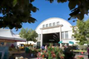 photo Marché traditionnel du Mercredi