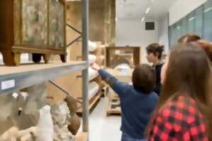 photo Visite des coulisses du musée