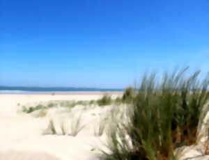 Nettoyage de la plage océane (organisé par la municipalité en partenariat avec E. Leclerc)