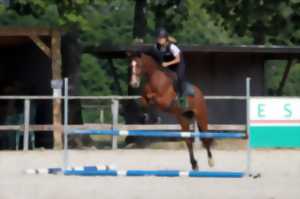 Portes ouvertes avec animations au poney-club des écuries d’Orepère