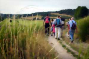 photo SORTIE NATURE - CRIS ET CHANTS D'OISEAUX