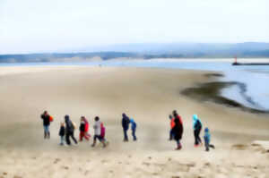 Atelier enfant : La laisse de mer, un trésor déposé sur la plage