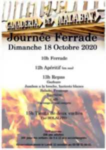 Journée Ferrade à la Ganadéria Malabat