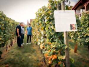 photo Parenthèse Vigneronne : Initiation à la dégustation