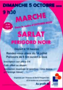 photo Marche dans le cadre d'Octobre Rose