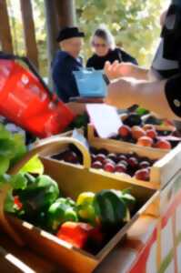 Marché traditionnel