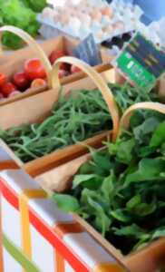 Marché traditionnel