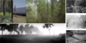 photo Exposition Forêts