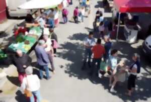 photo Marché à Salviac