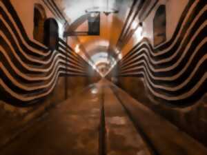 photo Visite guidée de l'ouvrage du Four à Chaux - ligne Maginot