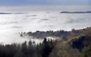 photo Balades nature au Champ du Feu