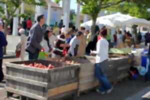 photo Marché de Cerizay