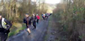 Trail du Chardon