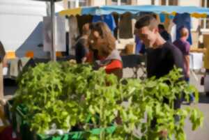 photo Marché de Rothau