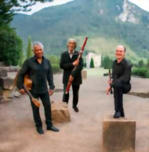 photo Festival de Musique Romantique : ensemble 