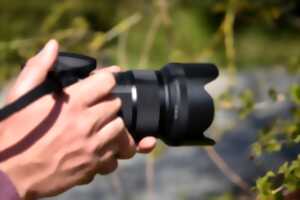 photo La photo au coeur du sauvage