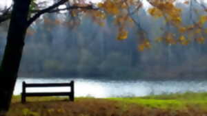 Balade : Histoire et Légendes de la forêt d'Orléans
