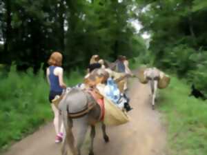 photo La photo au coeur du sauvage