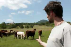 photo Le salon à la ferme - marché paysan