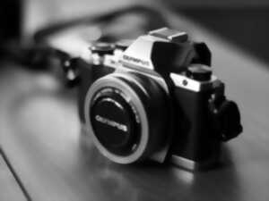 photo Concours photos : Niederbronn-les-Bains au vert