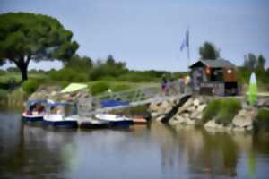 Promenade privatisée avec guide en bateau électrique