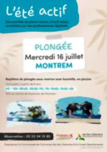photo Eté actif : Plongée