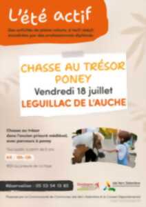 photo Eté actif : Chasse au Trésor et Poney