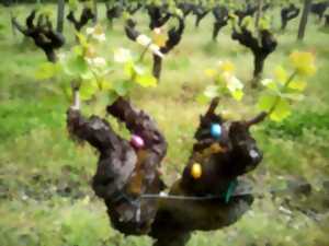 Pâques en vignes au château Haut-Claverie