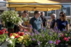 Marché de Lutzelhouse