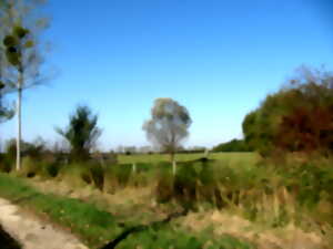 photo Découverte du Marais de Contres