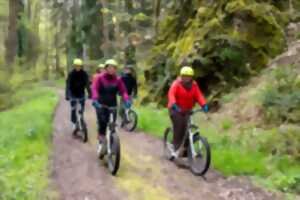 Descendre la montagne en trottinette tout-terrain !