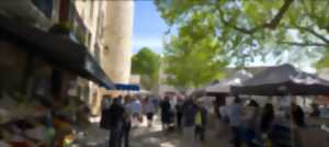photo MARCHÉ DE SAINT MARTIN DE LONDRES