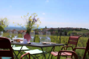 Déjeuner champêtre au coeur des vignes - Maison Jean Huttard à Zellenberg