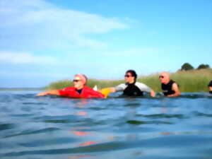 photo Marche aquatique / longe-côte lacustre à Sanguinet