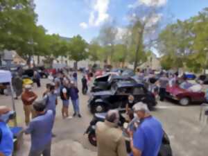 photo Rassemblement de voitures anciennes ( SAVA)