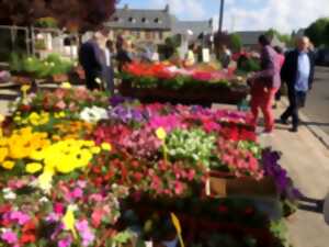 photo Grande foire de printemps du Carladez