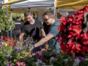 Vente de fleurs et plants de légumes à l'Etablissement Oberlin