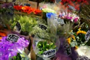 photo Marché aux fleurs - Béhobie